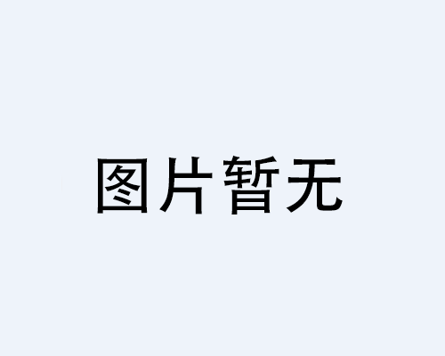 公司簡介